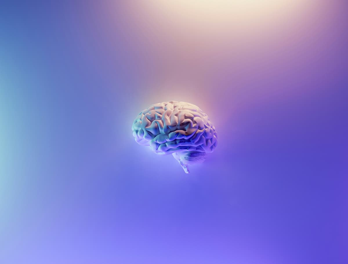 A image of a artificial brain